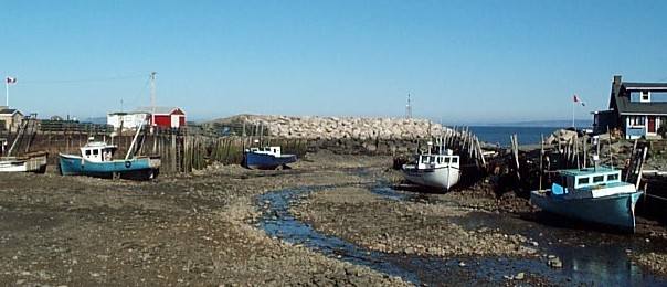 Photo of boats grounded due to low tide in Bay of Fundy